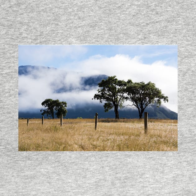 clouds and trees by sma1050